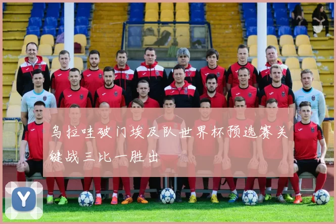 乌拉哇破门埃及队世界杯预选赛关键战三比一胜出