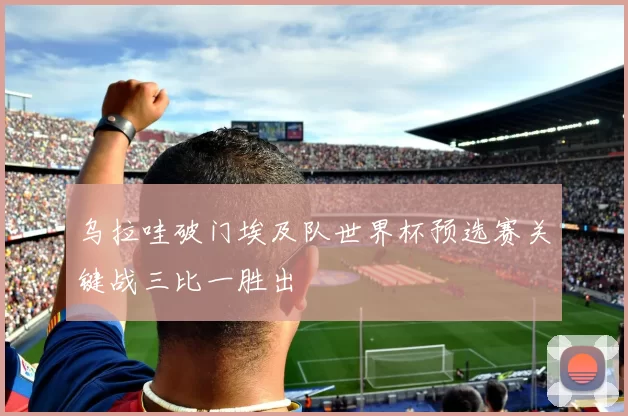 乌拉哇破门埃及队世界杯预选赛关键战三比一胜出