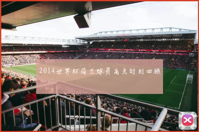 2014世界杯荷兰球员高光时刻回顾