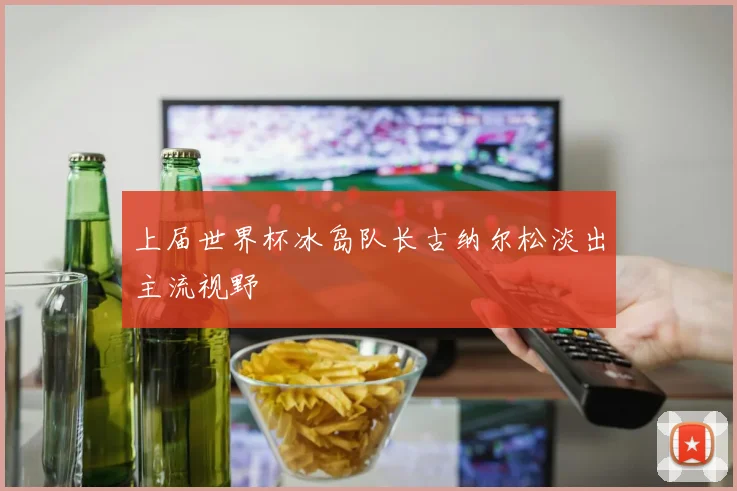 上届世界杯冰岛队长古纳尔松淡出主流视野