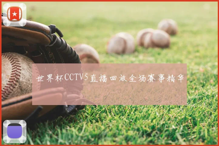 世界杯CCTV5直播回放全场赛事精华
