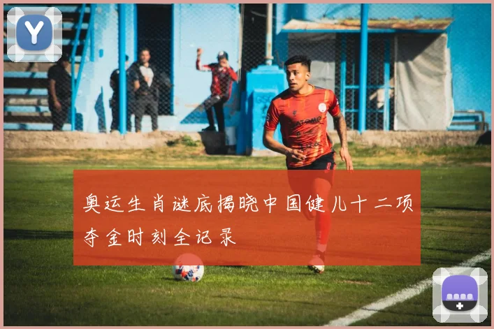 奥运生肖谜底揭晓中国健儿十二项夺金时刻全记录